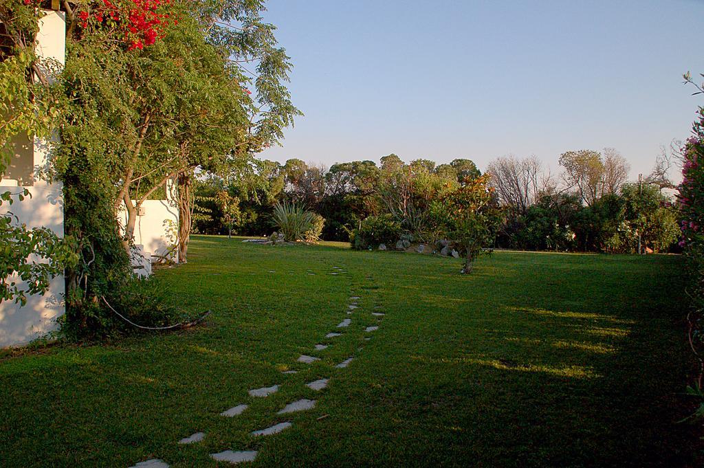 Handrina Studios Naxos City Eksteriør billede
